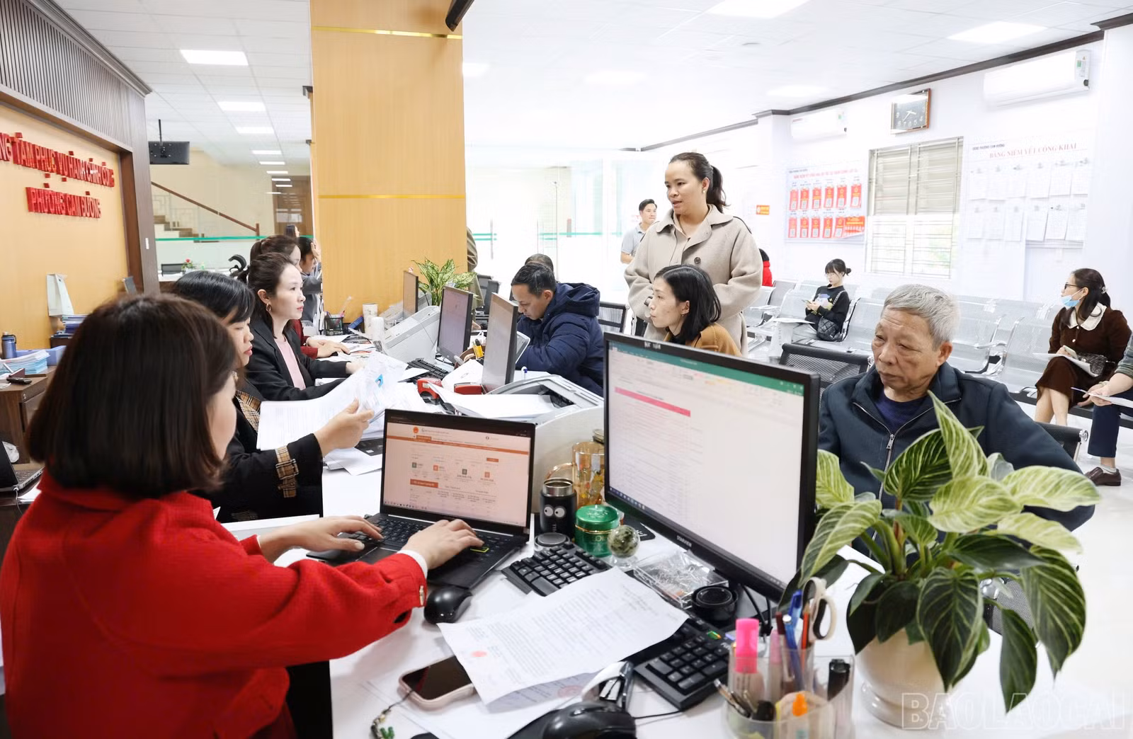 baolaocai-br_111.jpg
