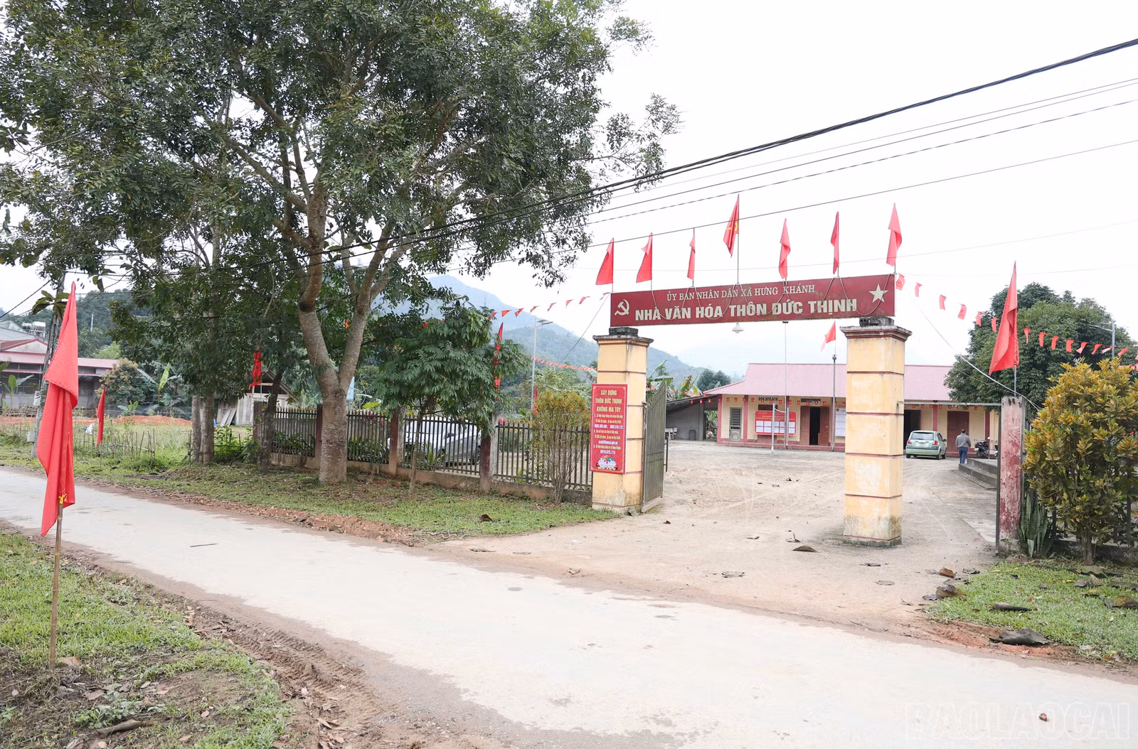 baolaocai-br_img-9755.jpg