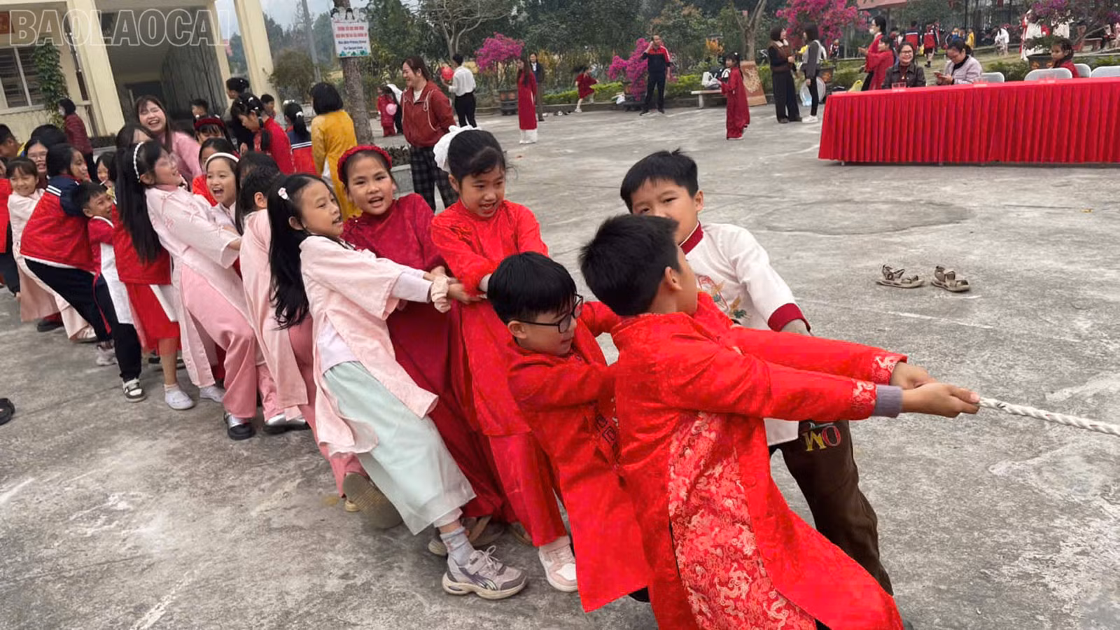 baolaocai-tl_anh6.jpg