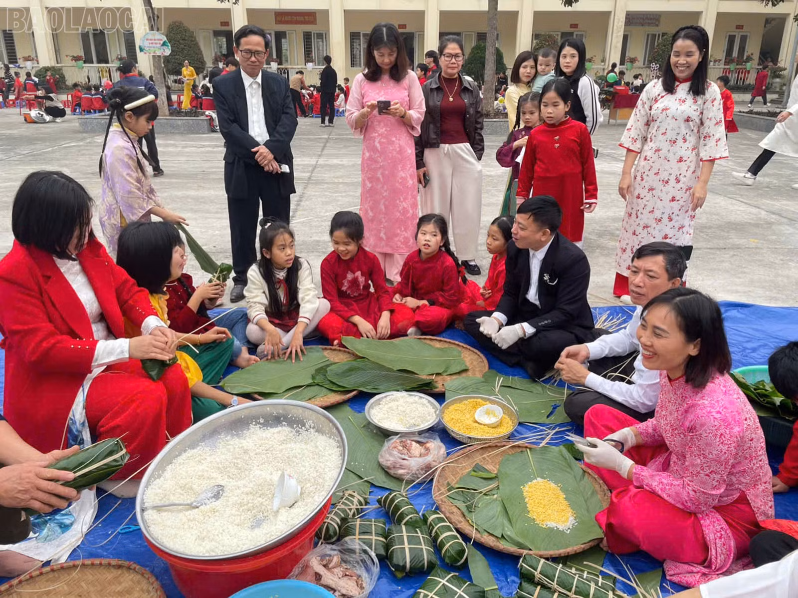 baolaocai-tl_anh3.jpg
