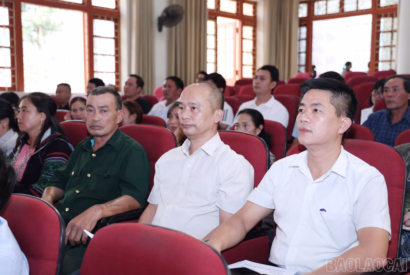 baolaocai-br_img-2639.jpg