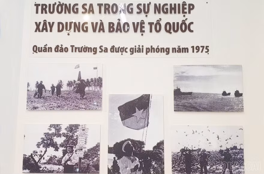 baolaocai-br_4.jpg