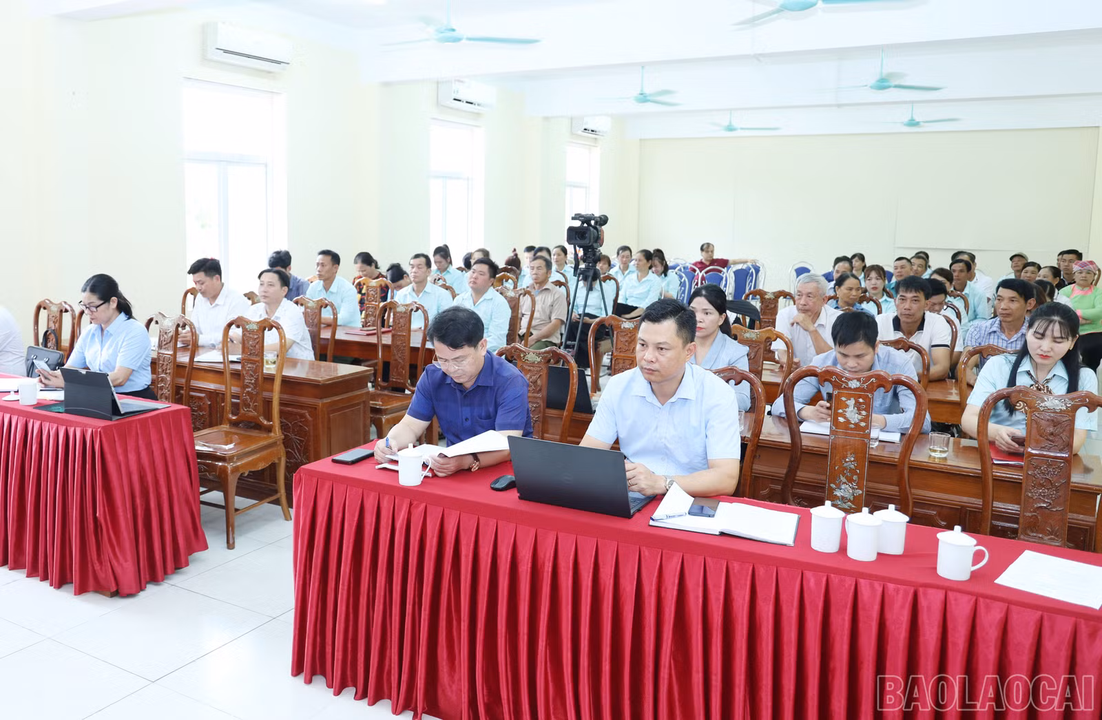 baolaocai-br_6612.jpg