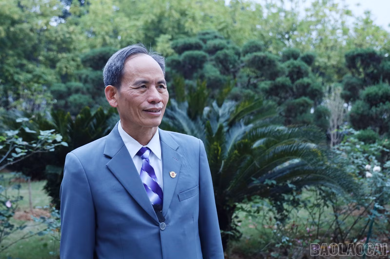 baolaocai-br_9780.jpg