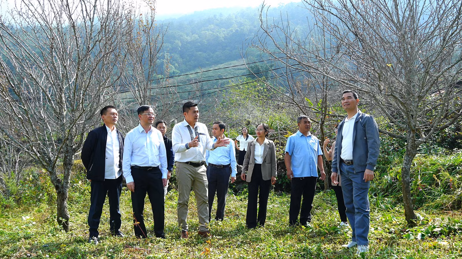 baolaocai-br_dsc01147.jpg