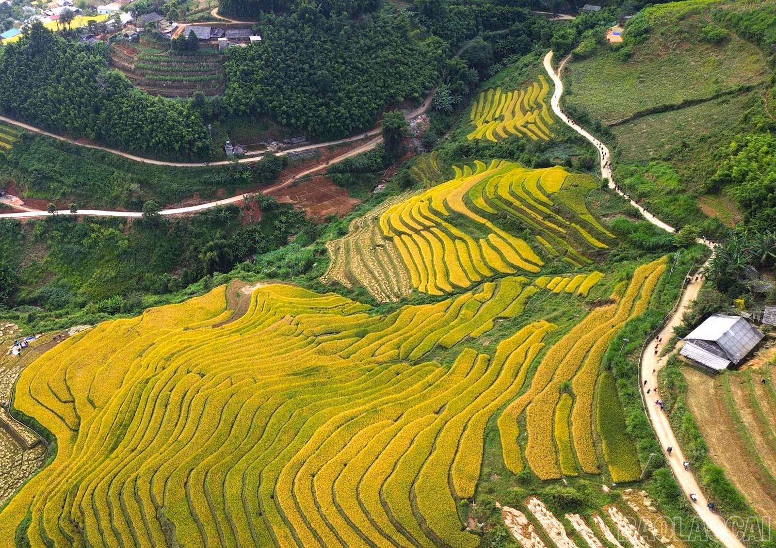 baolaocai-br_2-toan-canh-cac-vdv.jpg