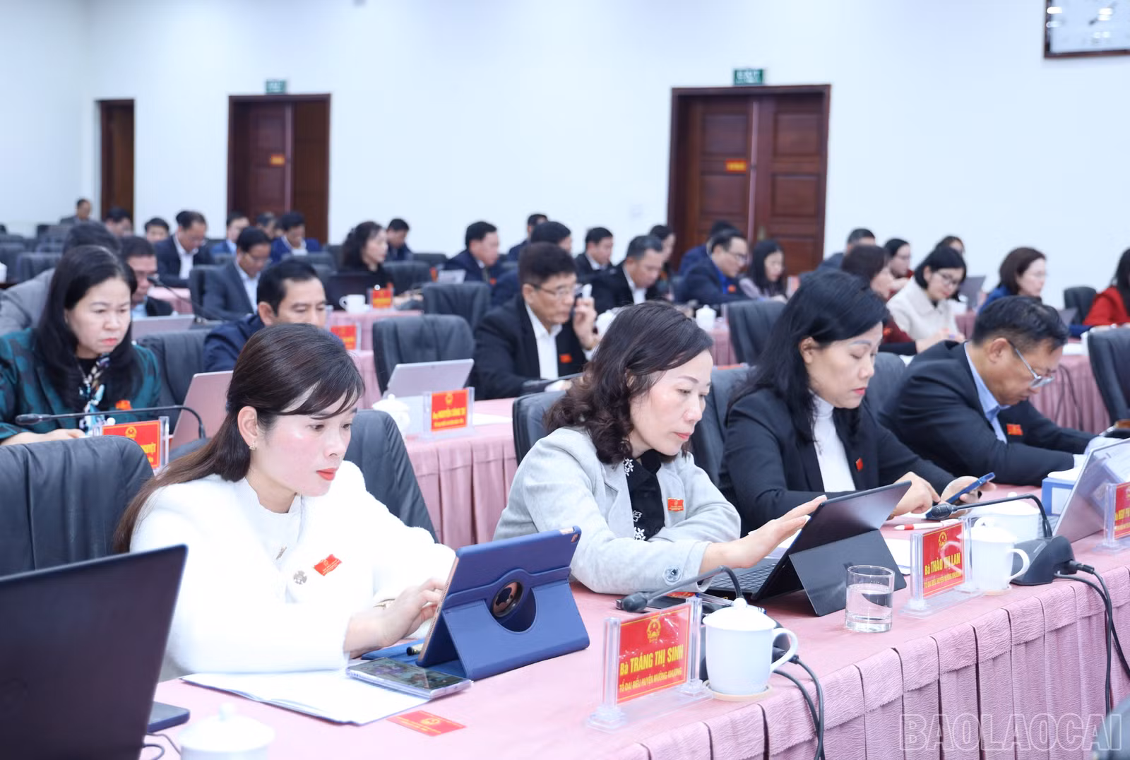 baolaocai-br_8913.jpg