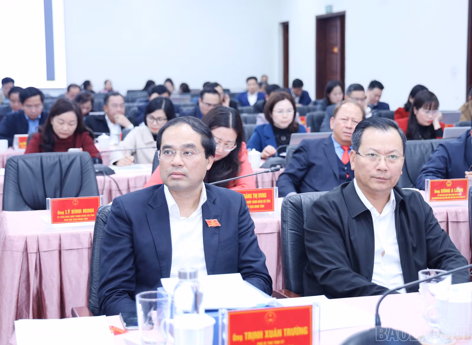 baolaocai-br_8942.jpg
