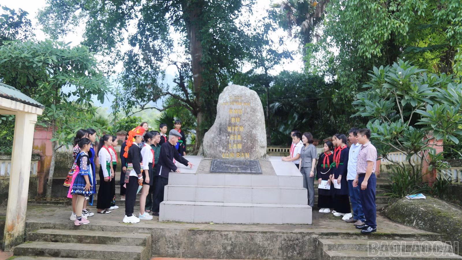 baolaocai-br_169.jpg