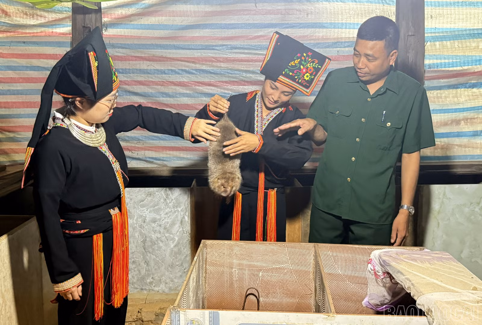baolaocai-br_z7385894842198-357c8b48ebbad64ca4e6c7783afcdaf9.jpg