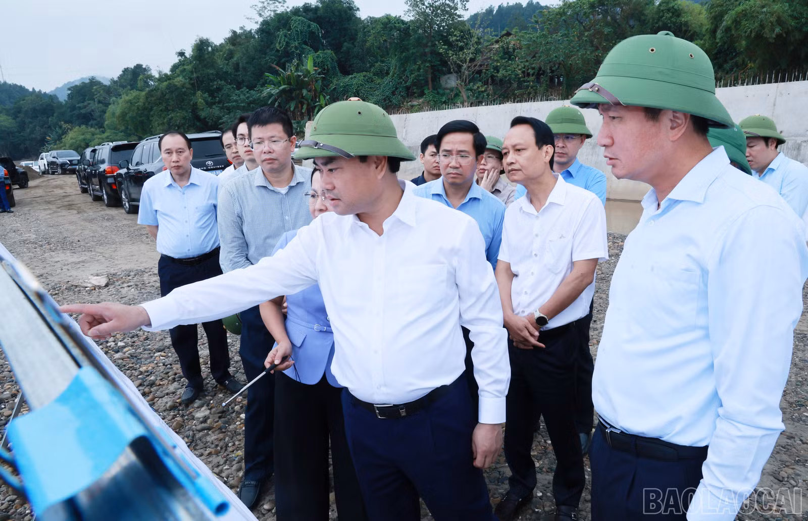 baolaocai-br_060a1427.jpg