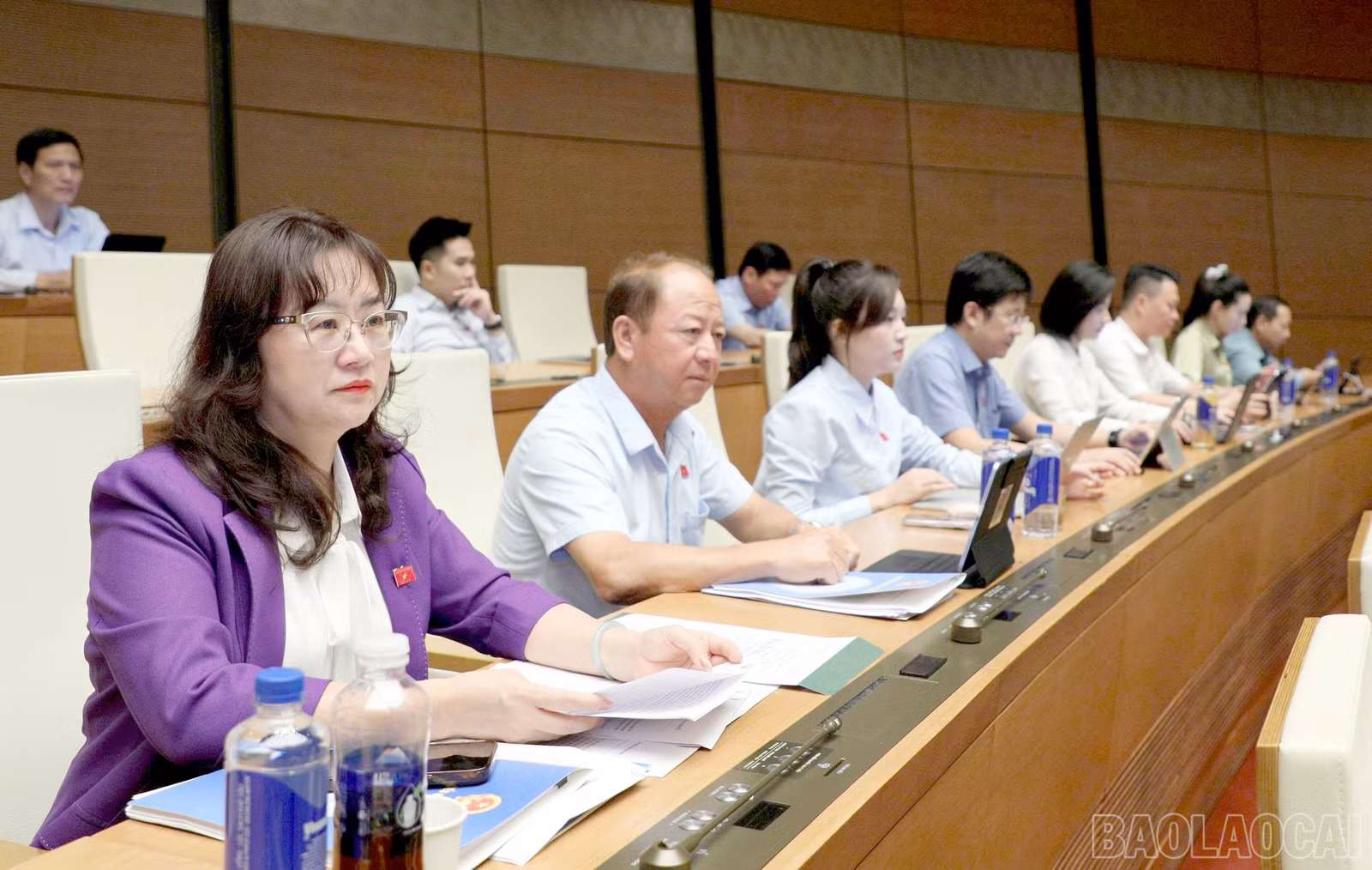 baolaocai-br_1792633876723-7045782310702207500-7045782310702207500-f175fcebc9da4f9ef10751642c518e6f.jpg