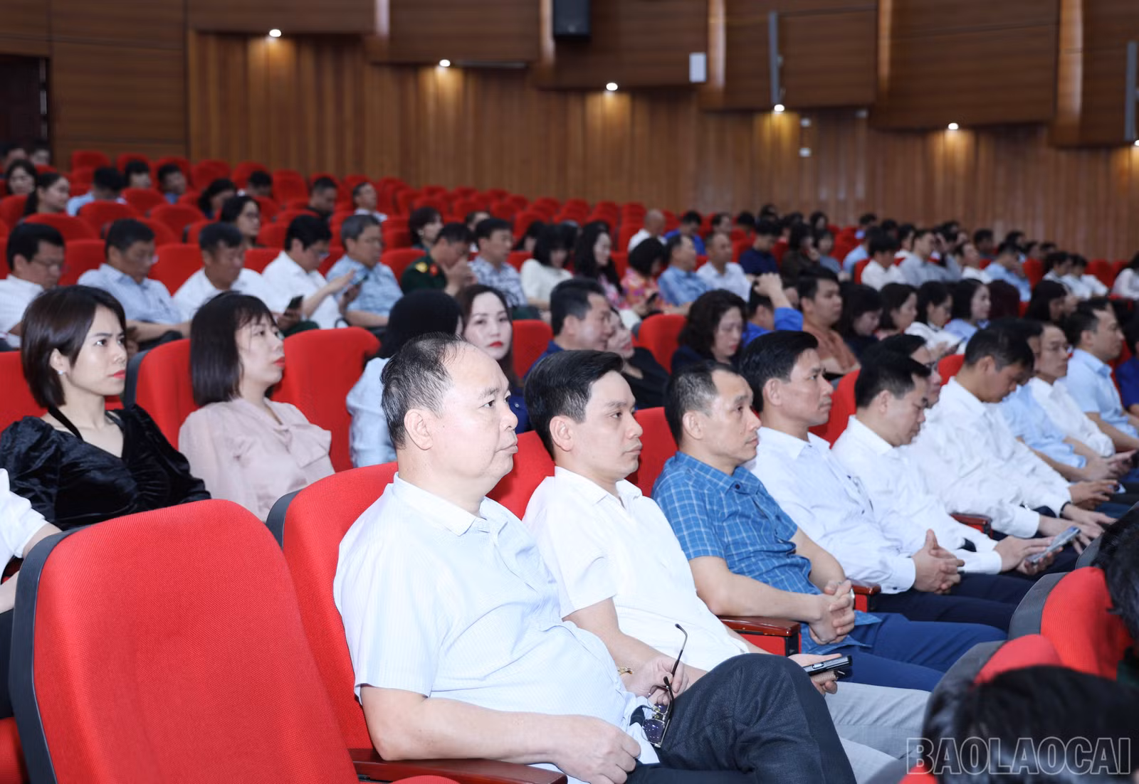 baolaocai-br_3734.jpg
