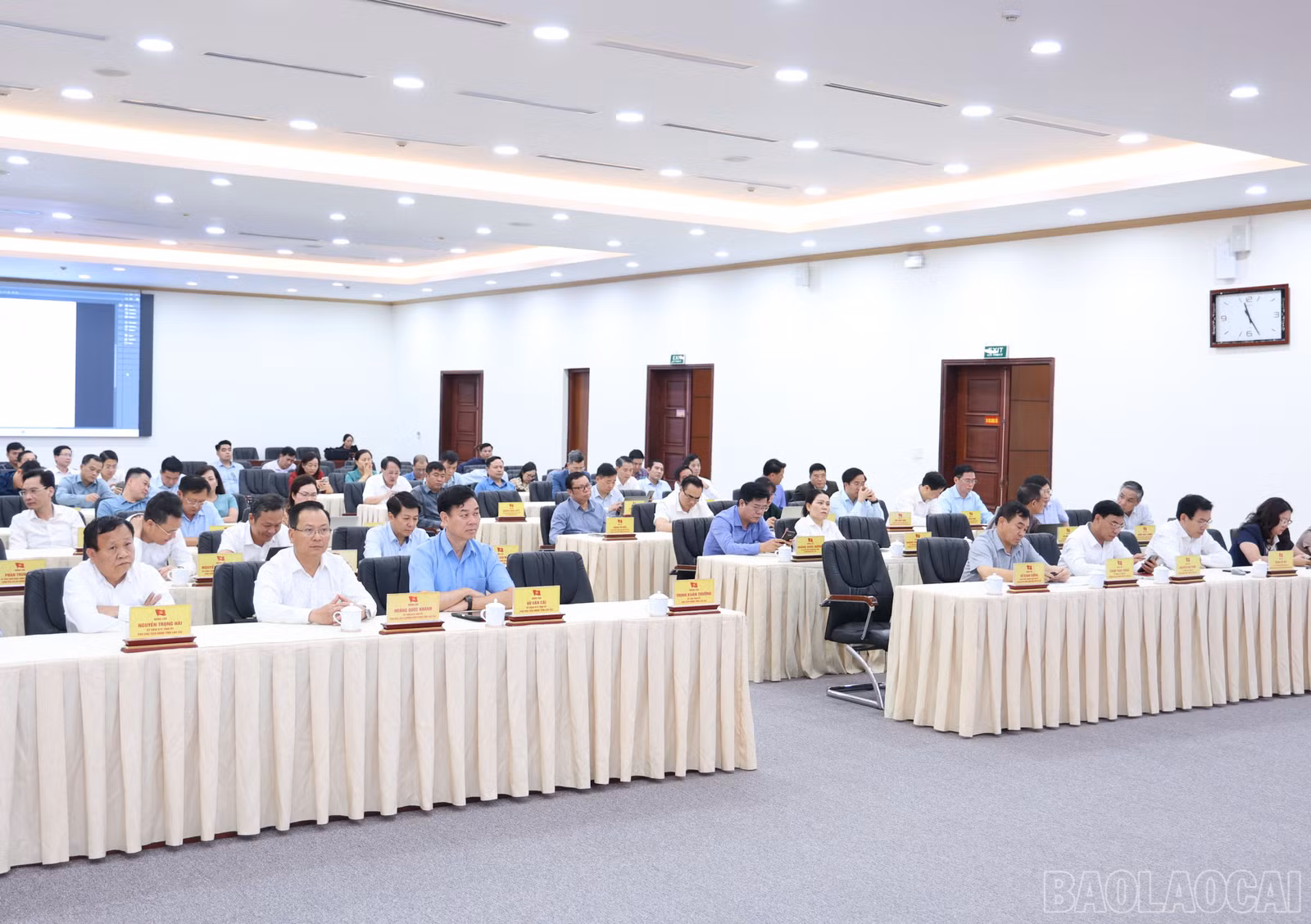 baolaocai-br_3795.jpg