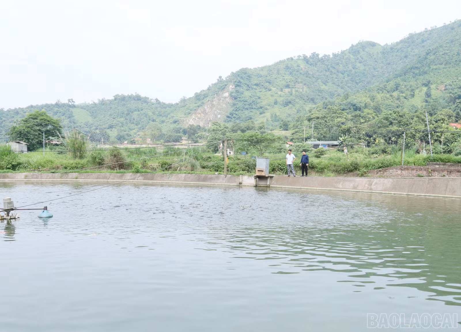 baolaocai-br_7049.jpg