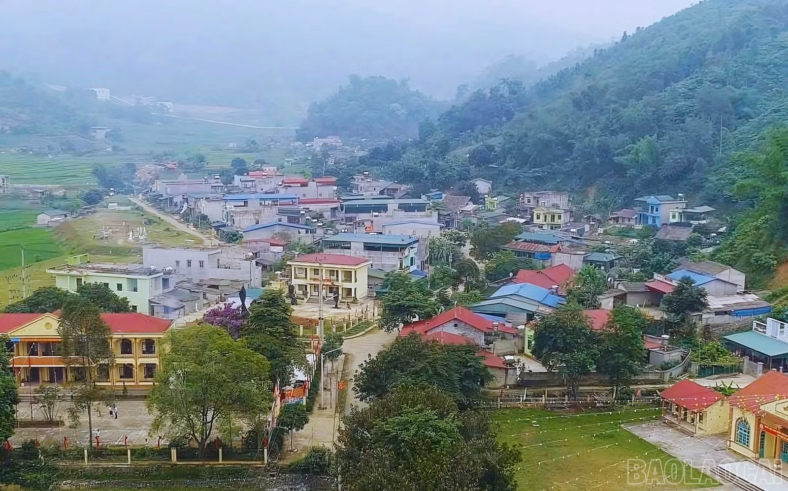 baolaocai-br_11.jpg