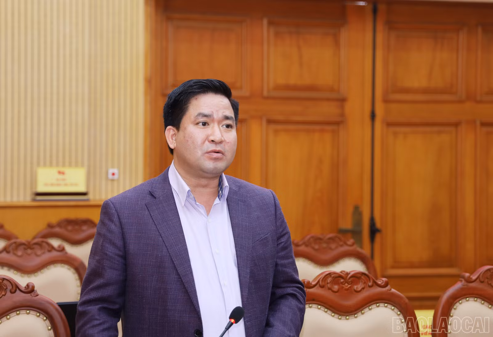 baolaocai-br_6466.jpg