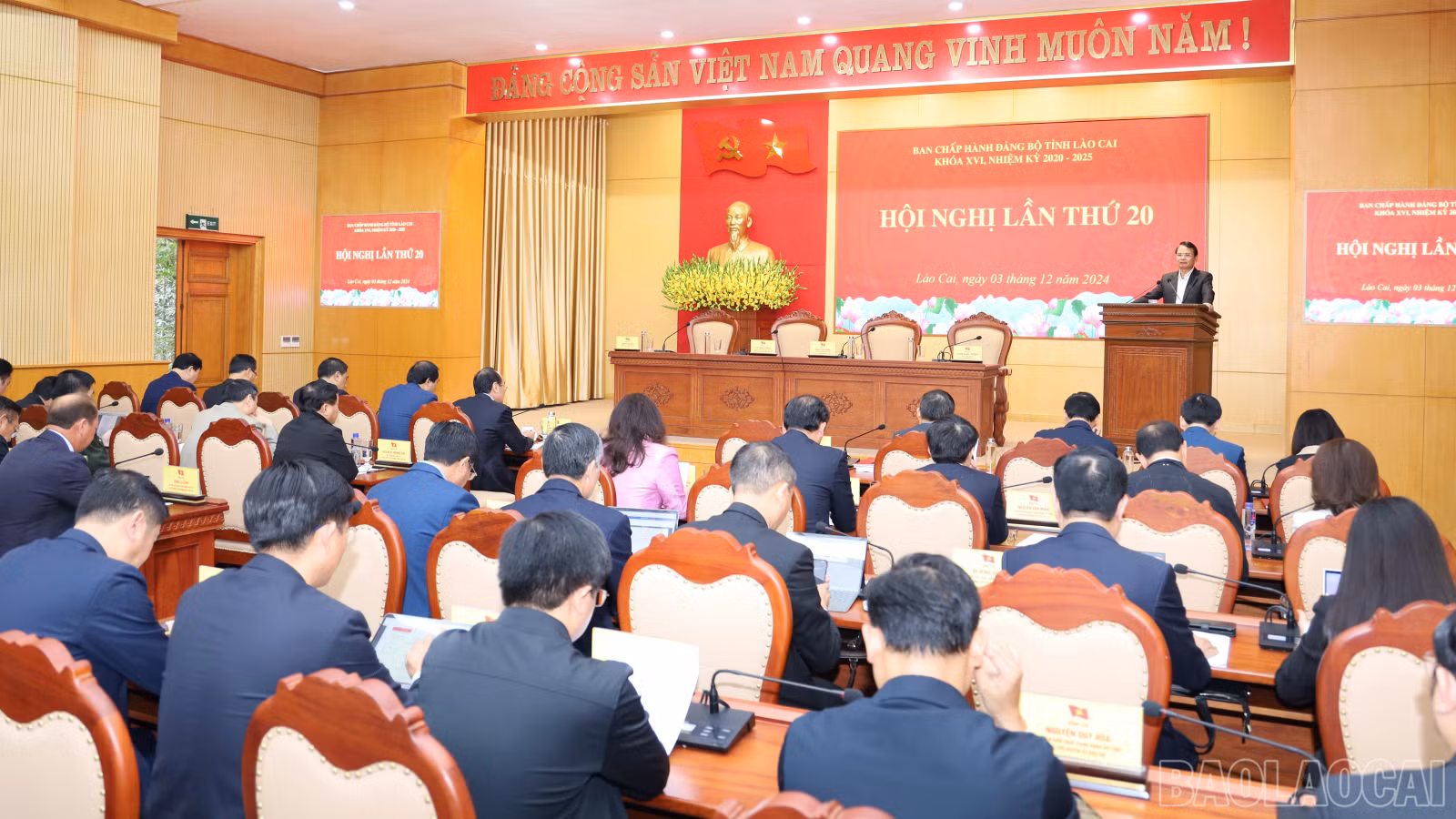 baolaocai-br_6446.jpg