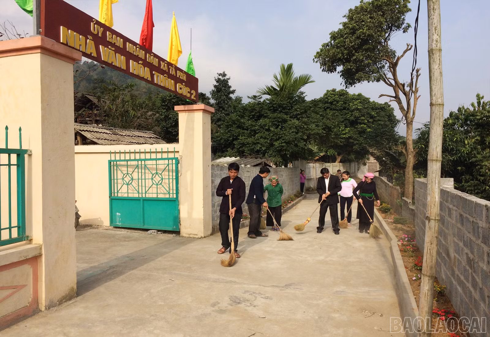 baolaocai-br_234.jpg