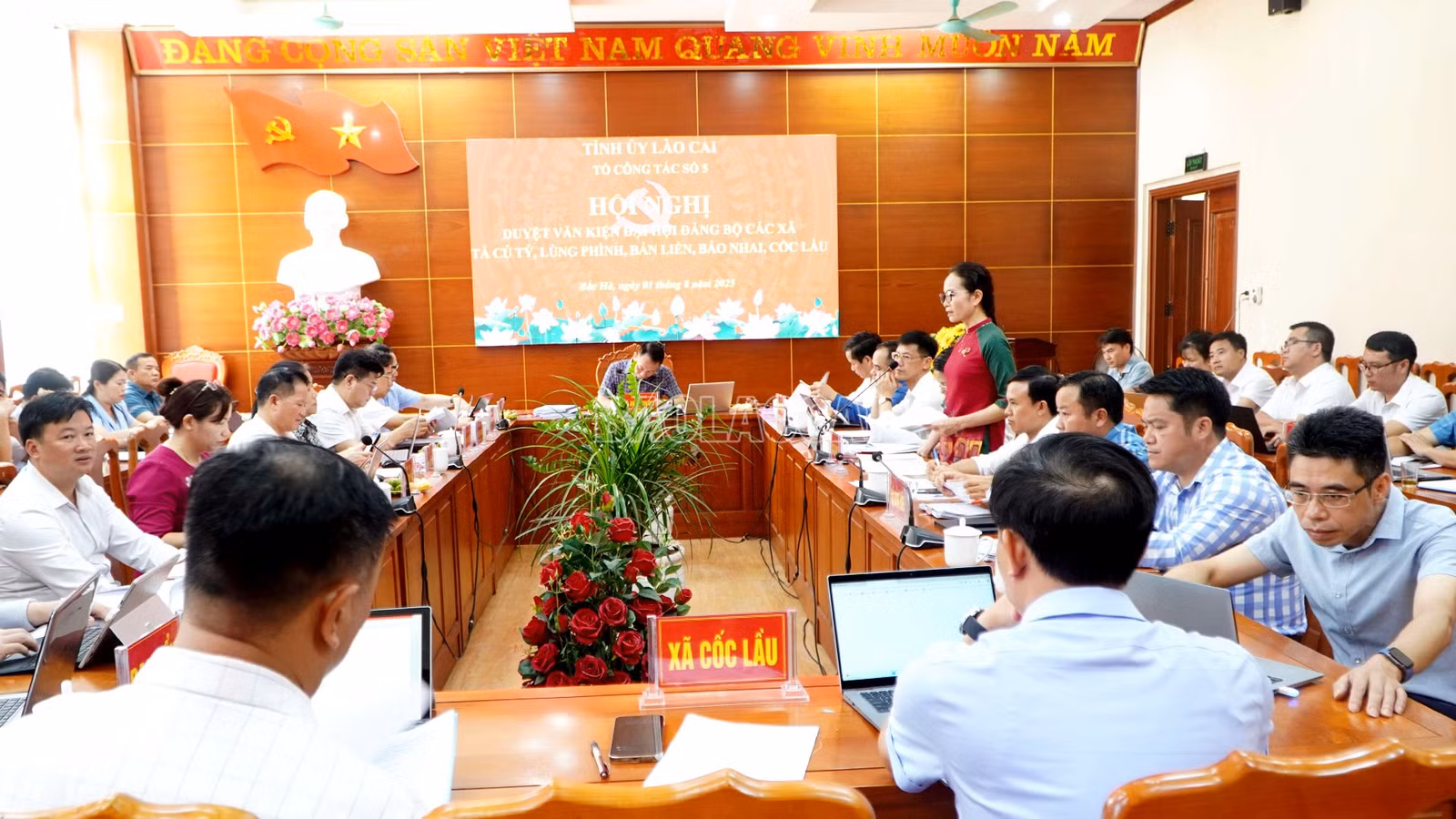 baolaocai-c_1-8-bac-ha1.jpg