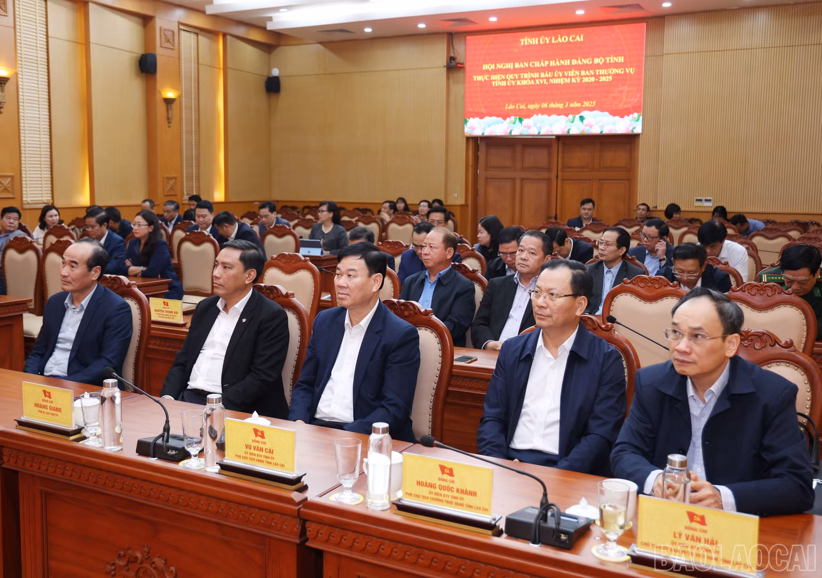 baolaocai-br_1604.jpg