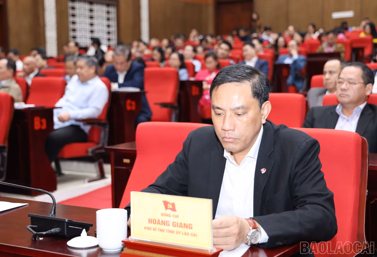 baolaocai-br_1501.jpg