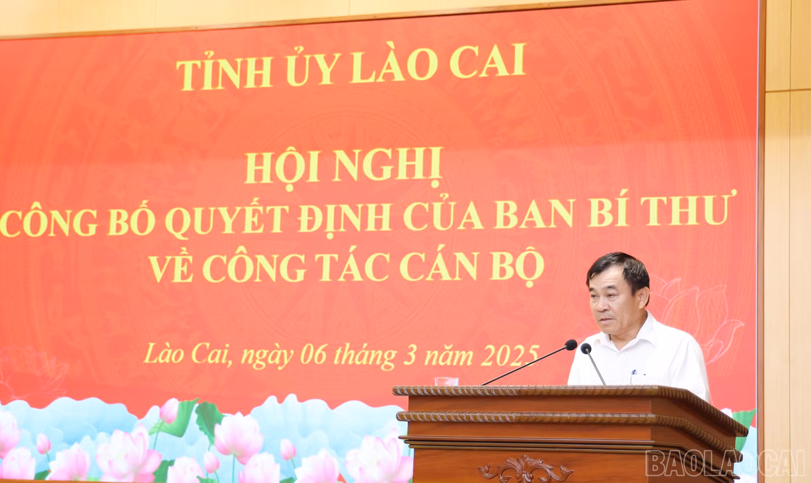 baolaocai-br_1585.jpg