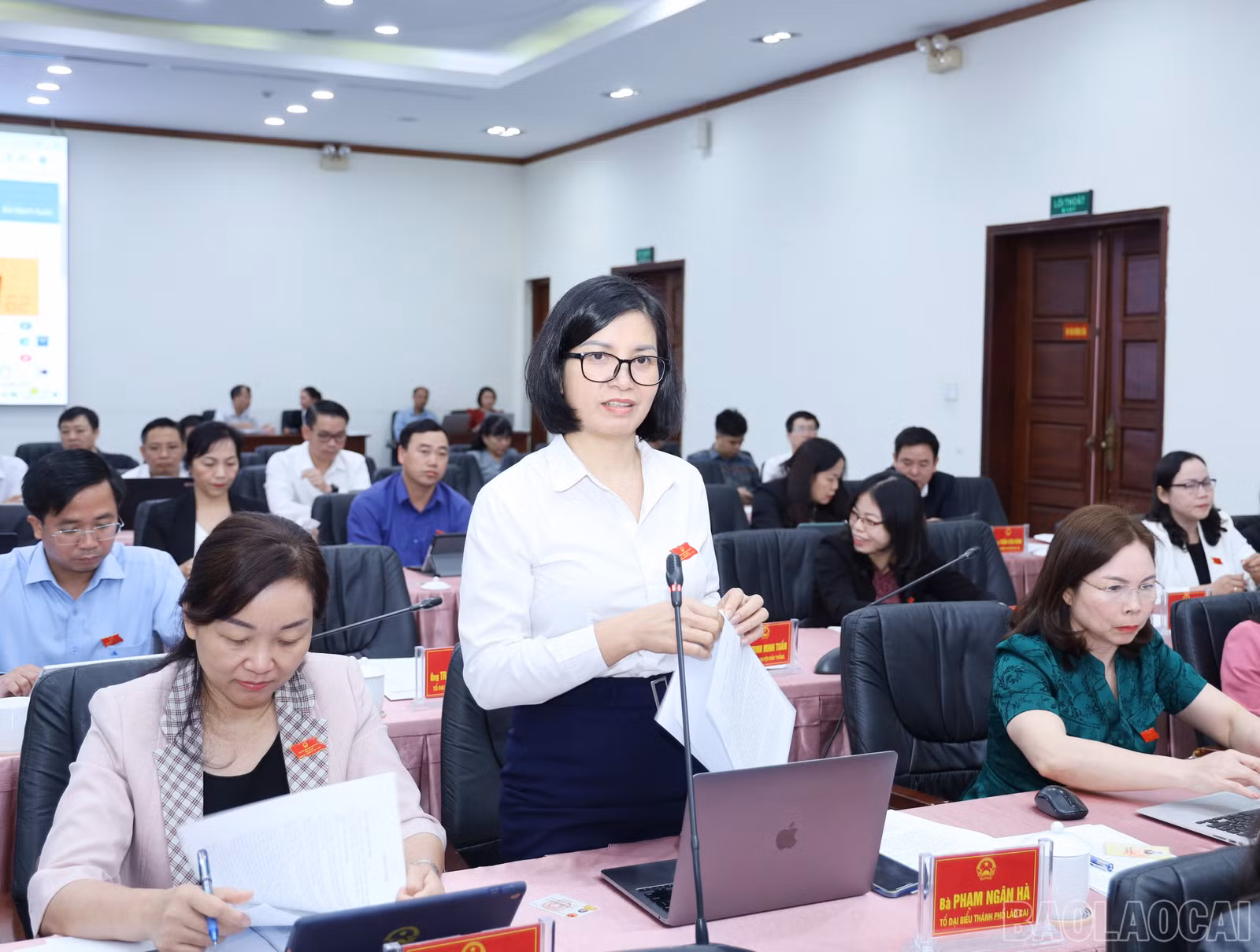 baolaocai-br_9810.jpg
