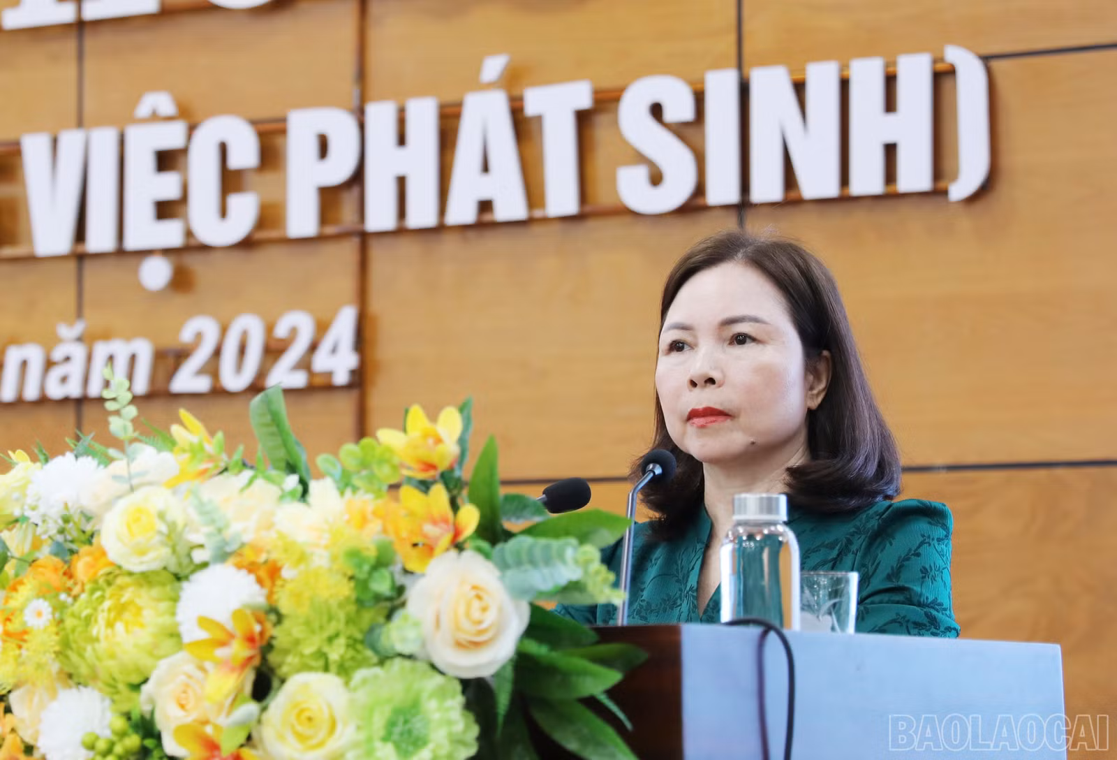 baolaocai-br_3258.jpg