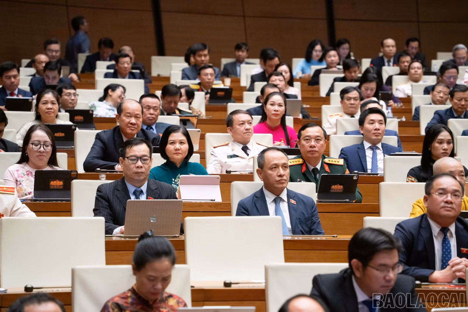 baolaocai-br_202608241523257467-1787559942226-2669430916532772711-g7574298250520479089-45c350d363b086016441e1bcae741421.jpg