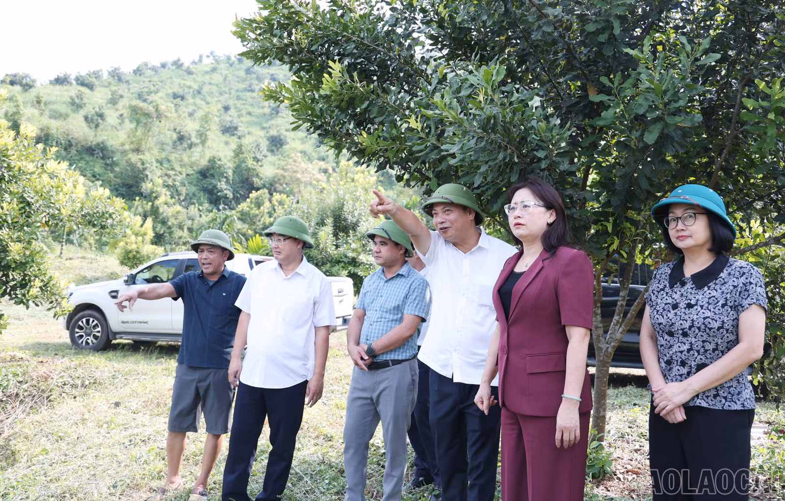 baolaocai-br_img-9673.jpg
