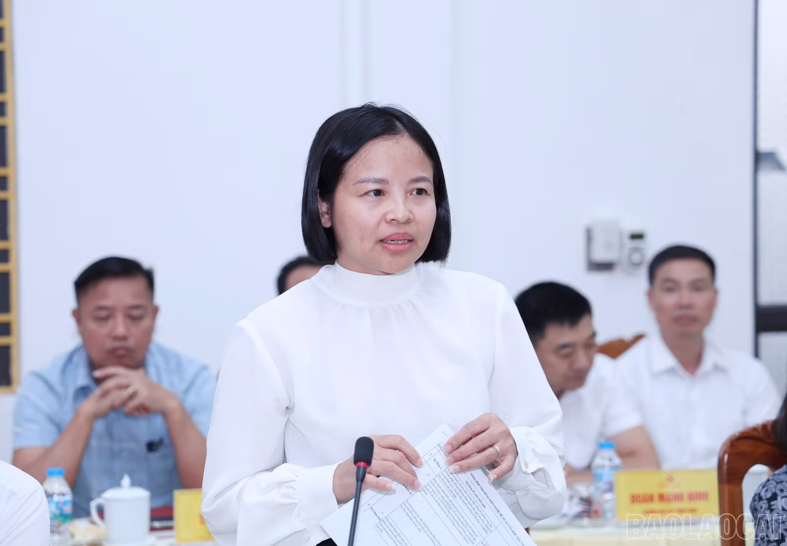 baolaocai-br_img-9892.jpg