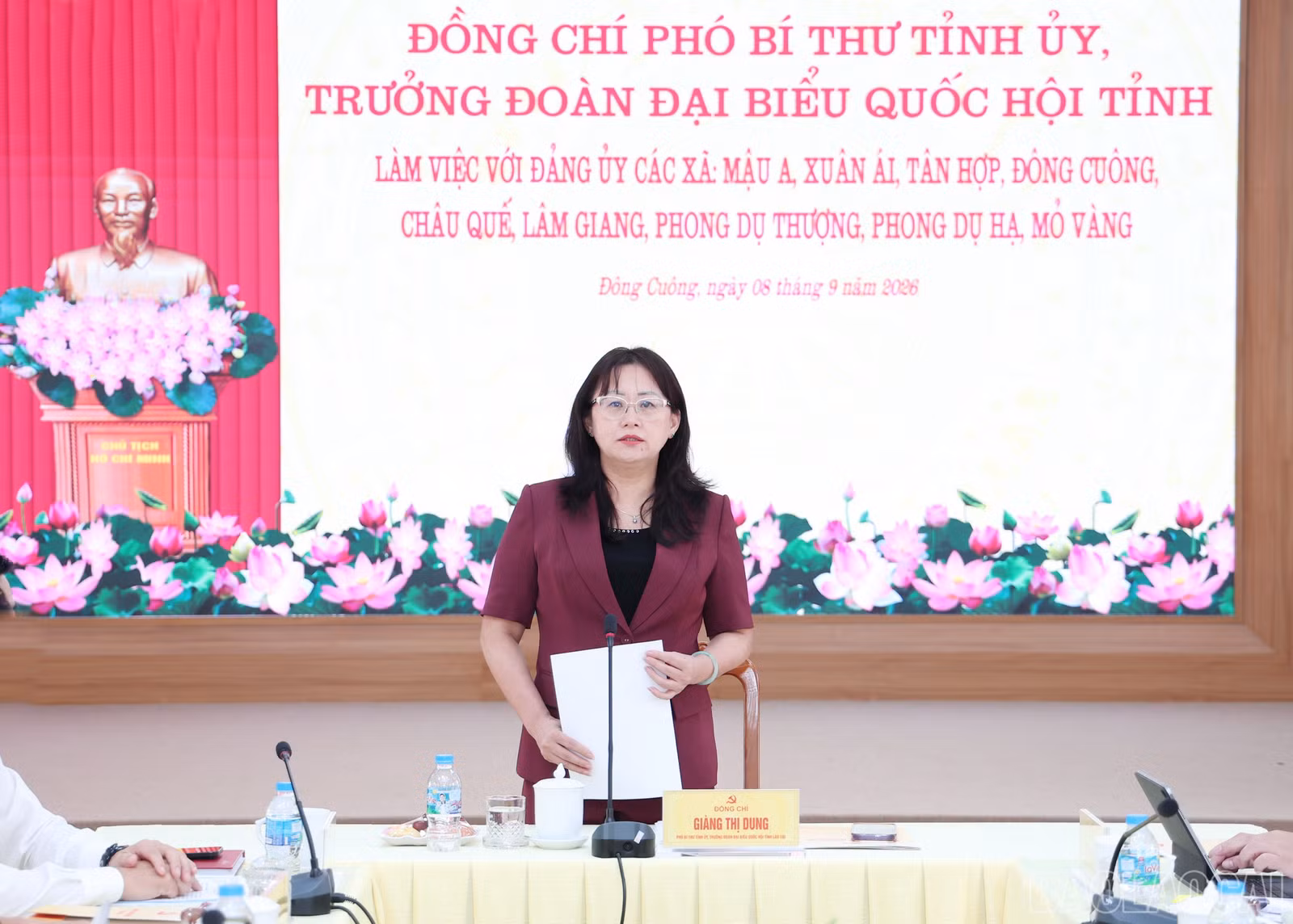 baolaocai-br_img-9814.jpg