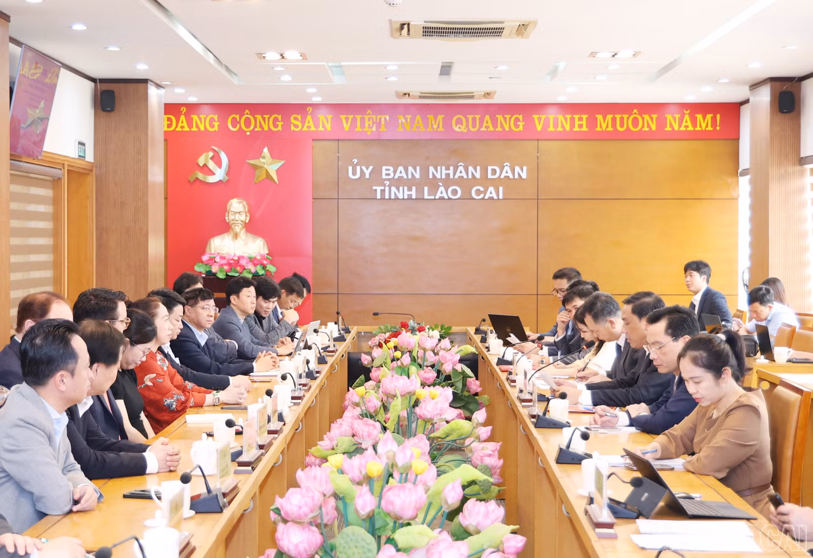 baolaocai-br_1802.jpg