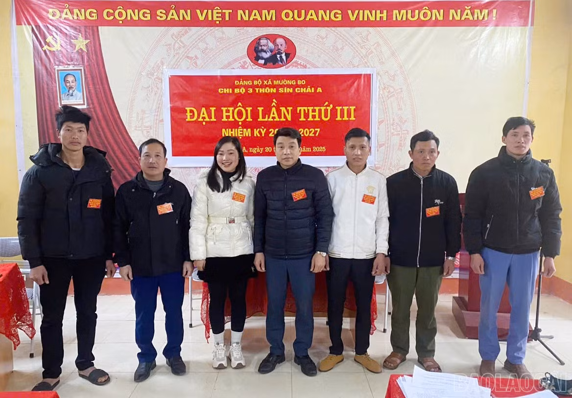 baolaocai-br_cmb.jpg