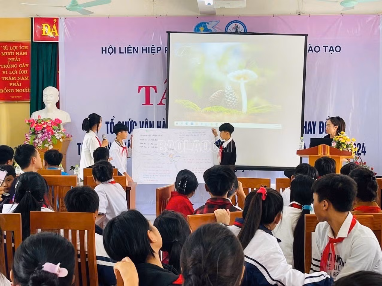 baolaocai-c_21-9-thulinh.jpg