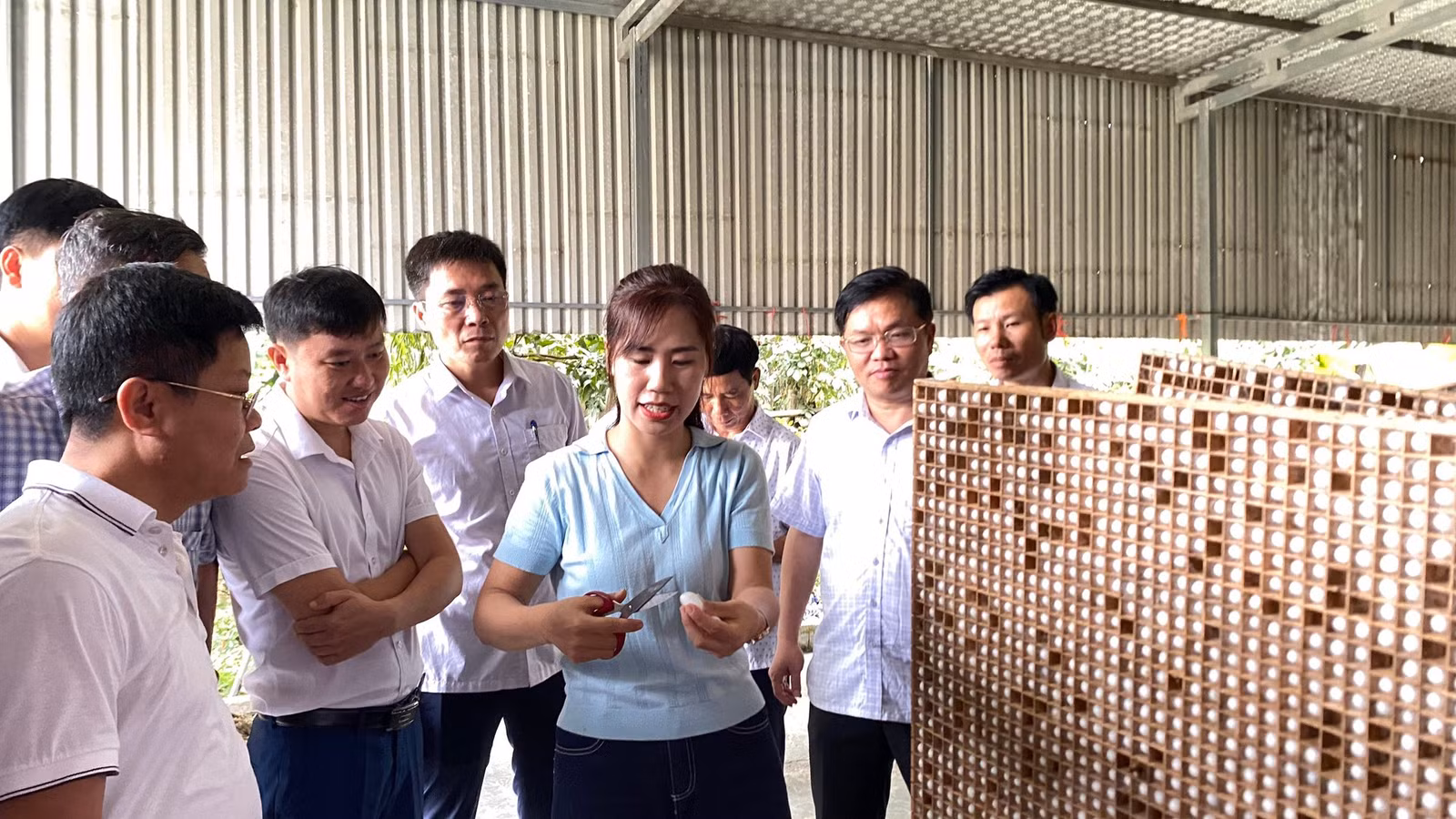 Đoàn công tác tham quan thành viên nuôi tằm cho thu kén tại Hợp tác xã Dâu tằm Minh Tiến.