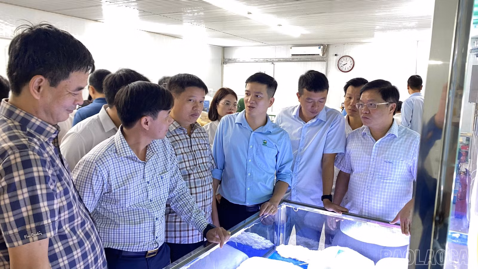 Đoàn công tác tìm hiểu quy trình sản xuất và tạo ra sản phẩm tại Công ty Dâu tằm tơ Yên Bái.