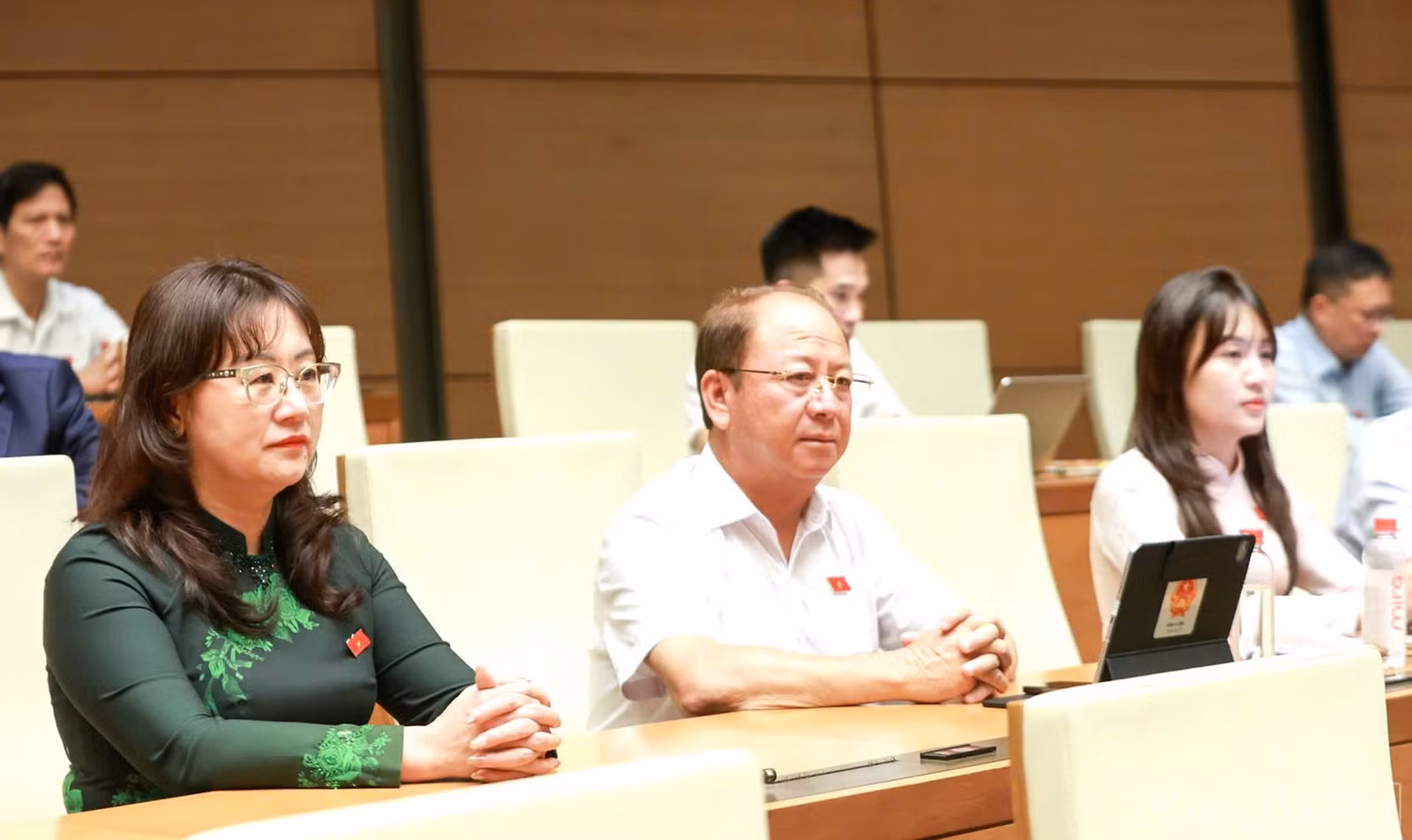 baolaocai-br_29-10-qh1.jpg