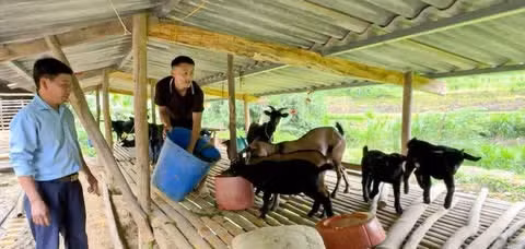 Phát huy tinh thần đảng viên “đi trước”, anh Giàng A Kỷ tỉnh Điện Biên mạnh dạn vay vốn phát triển mô hình kinh tế tổng hợp, nhờ đó vươn lên thoát nghèo. Ảnh: TTXVN phát