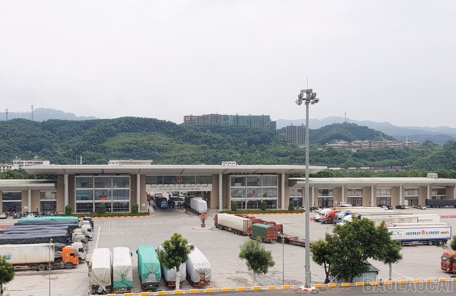 baolaocai-br_102.jpg