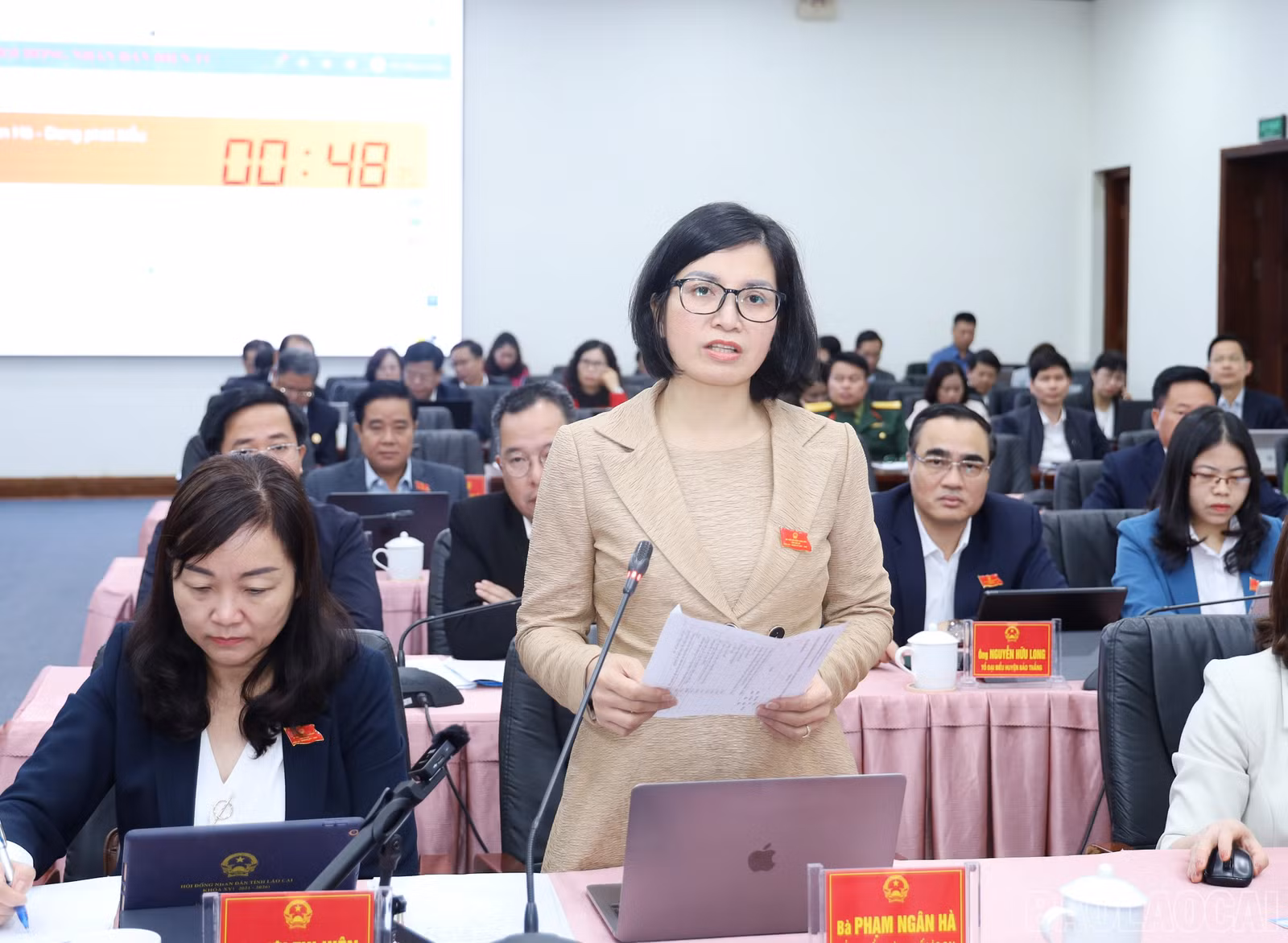 baolaocai-br_6809.jpg