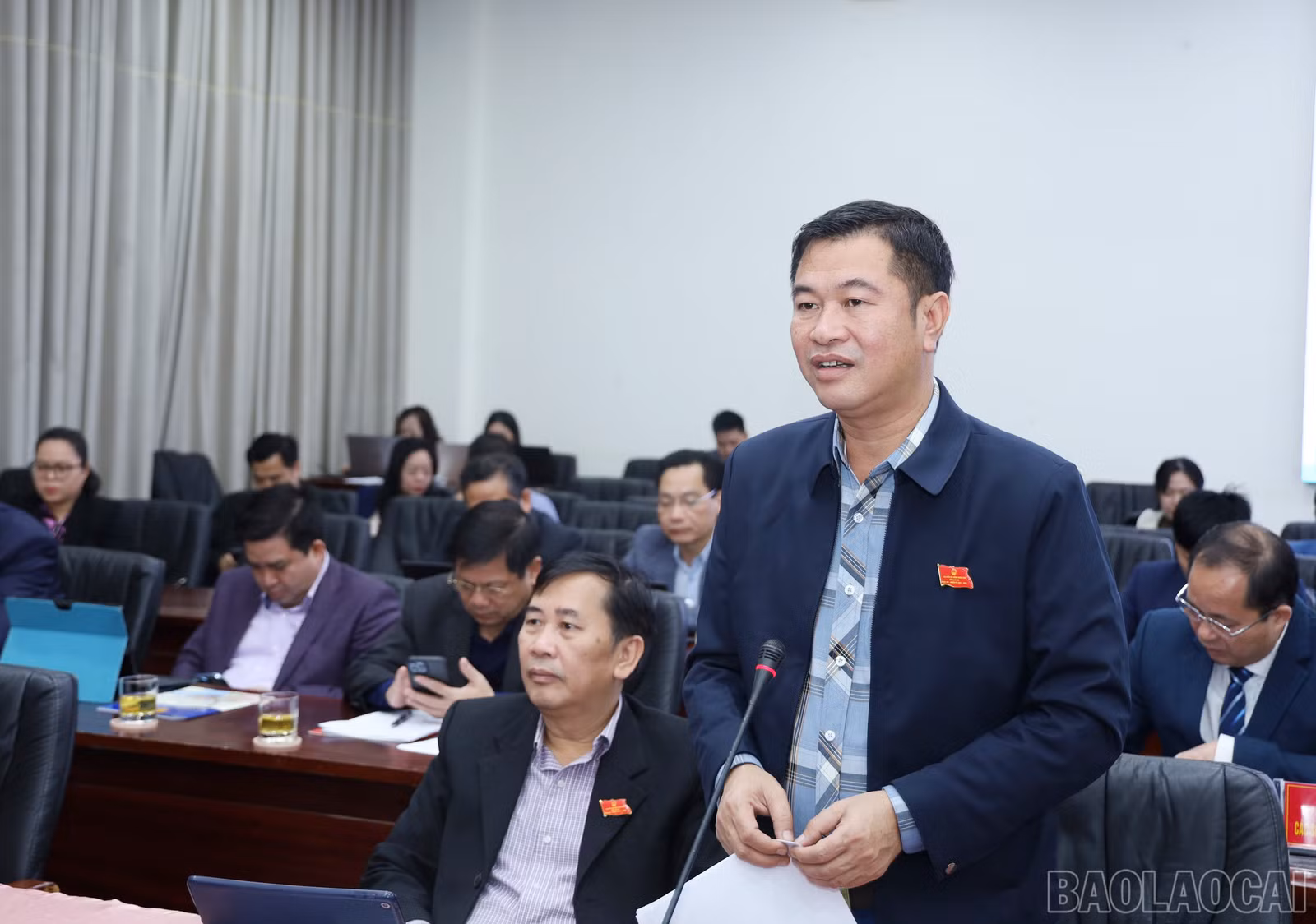 baolaocai-br_6828.jpg