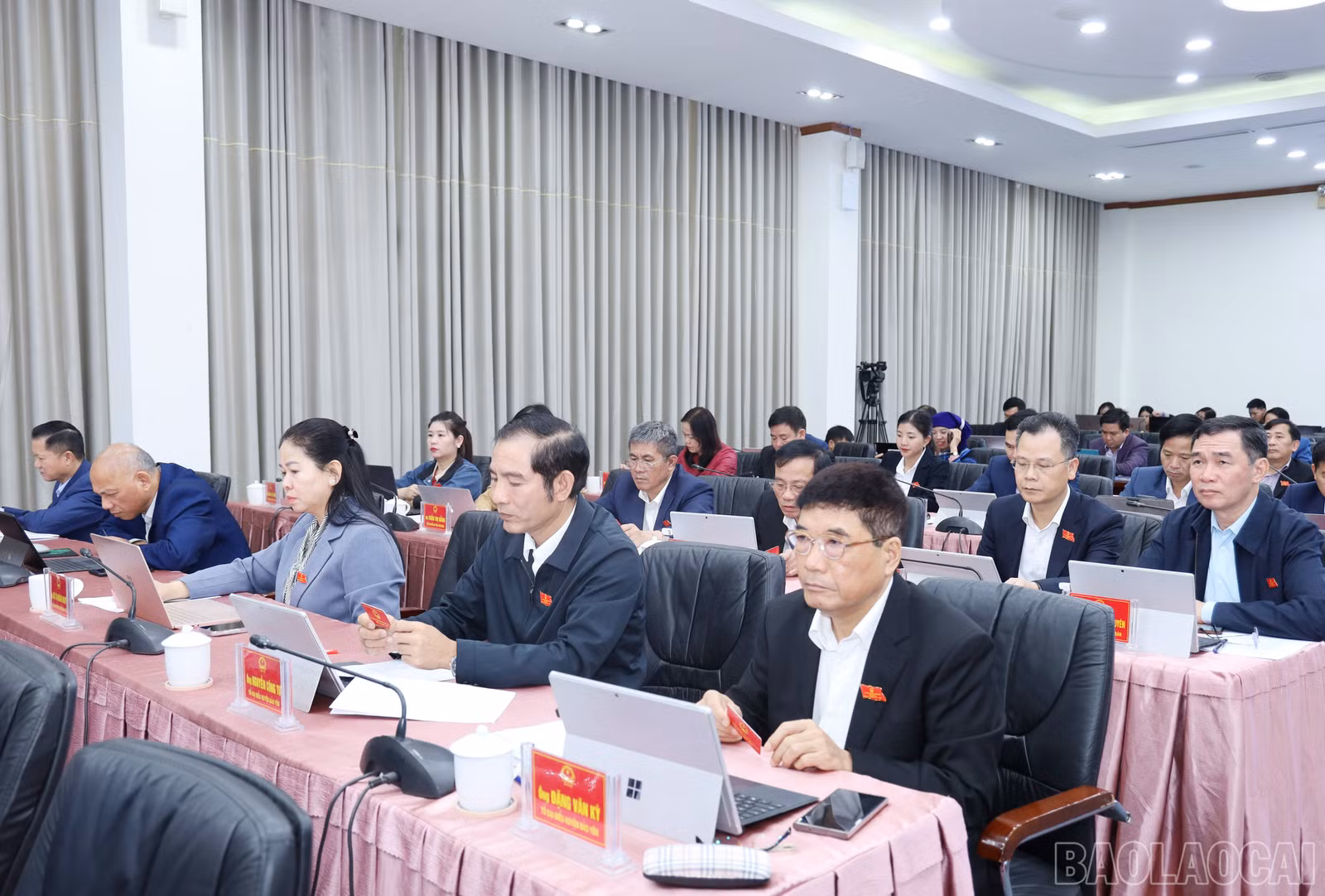 baolaocai-br_6856.jpg