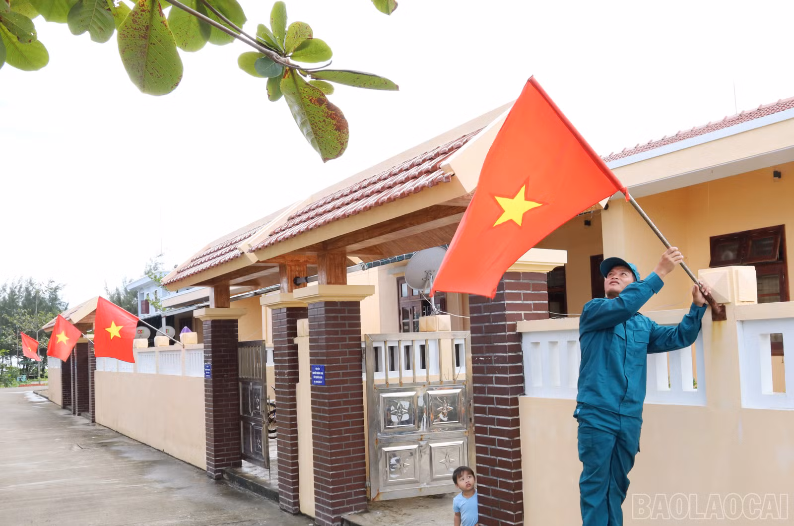 baolaocai-br_9995.jpg