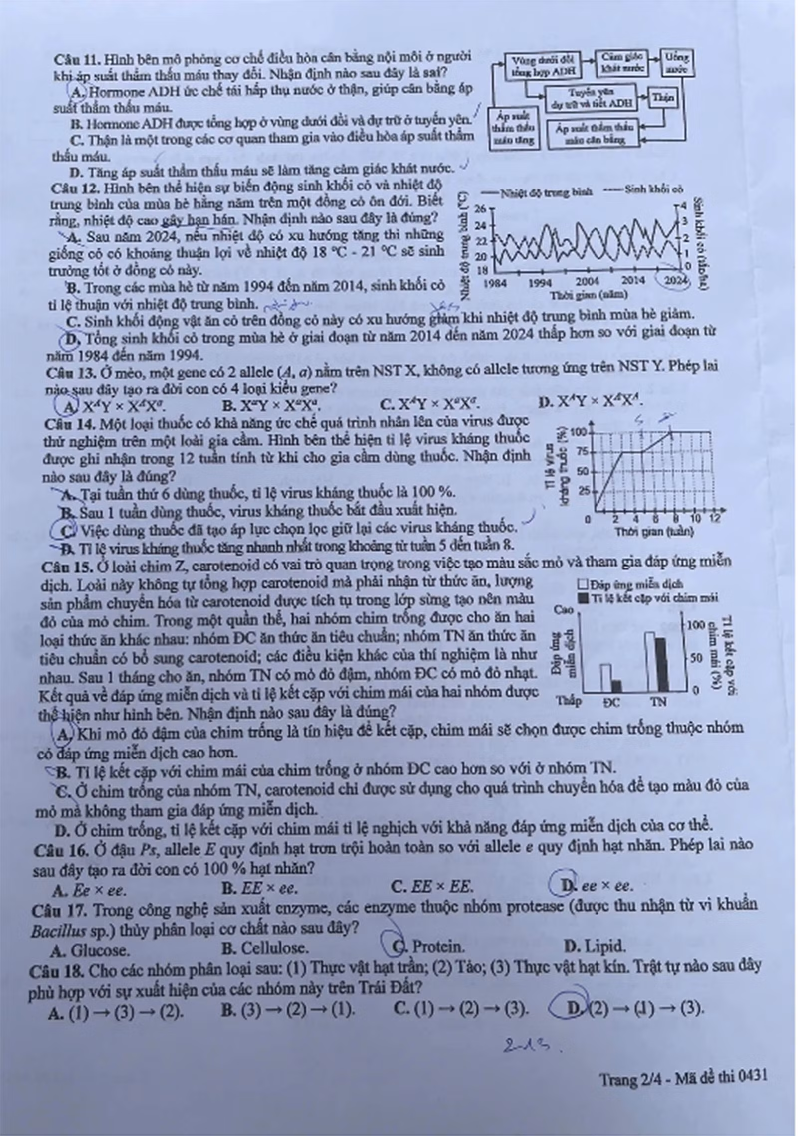 12-6-sinh2.jpg