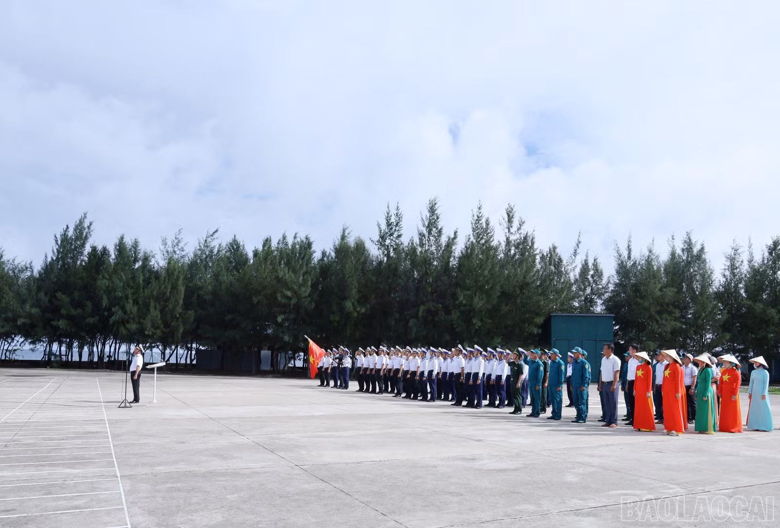 baolaocai-br_8048.jpg