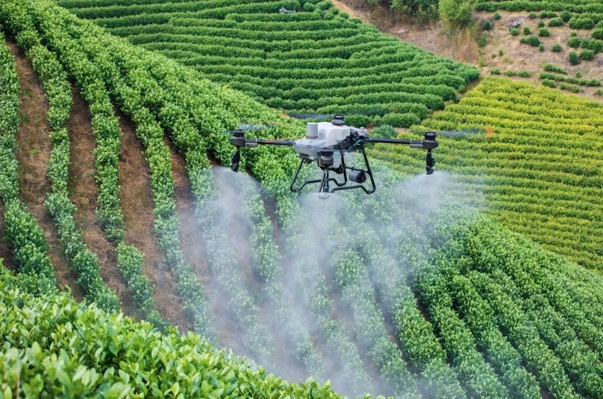 Một mẫu drone phun thuốc trên cánh đồng.