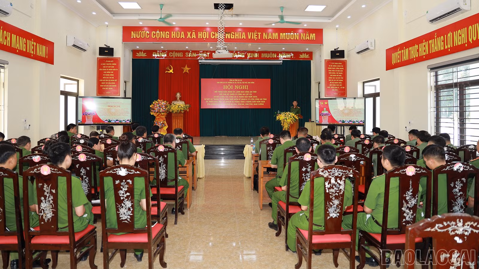 baolaocai-br_anh-1.jpg