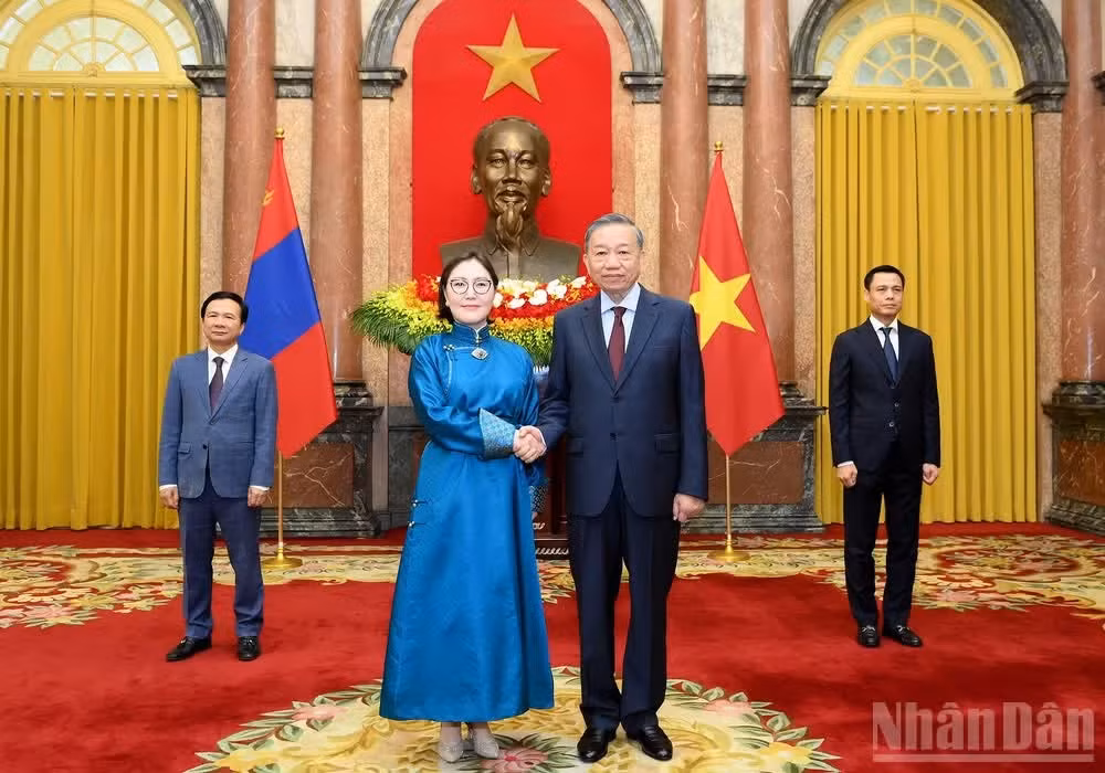 Tổng Bí thư, Chủ tịch nước Tô Lâm với Đại sứ Mông Cổ Hulan Ganbaatar. (Ảnh: ĐĂNG KHOA)